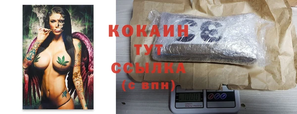 стафф Арсеньев