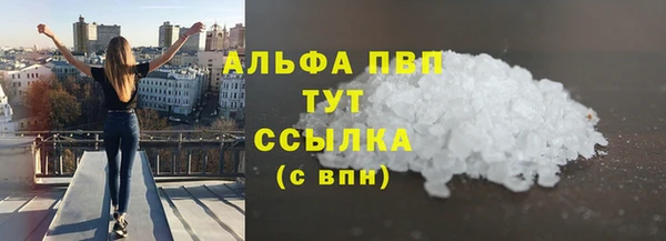 стафф Арсеньев