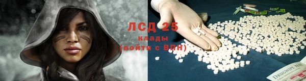 стафф Арсеньев