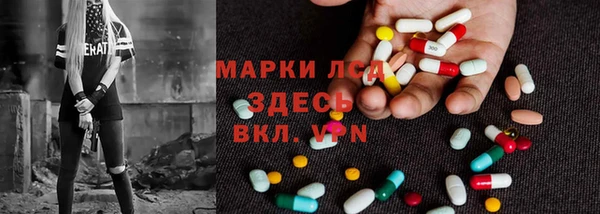 стафф Арсеньев